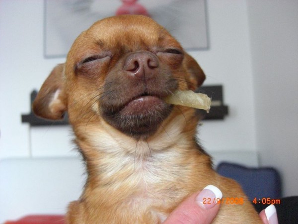 k-CIMG3826.JPG (57.78 KiB) 5934 mal betrachtet k-CIMG3826.JPG