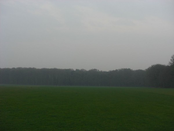 k-CIMG5536.JPG (38.21 KiB) 7532 mal betrachtet k-CIMG5536.JPG