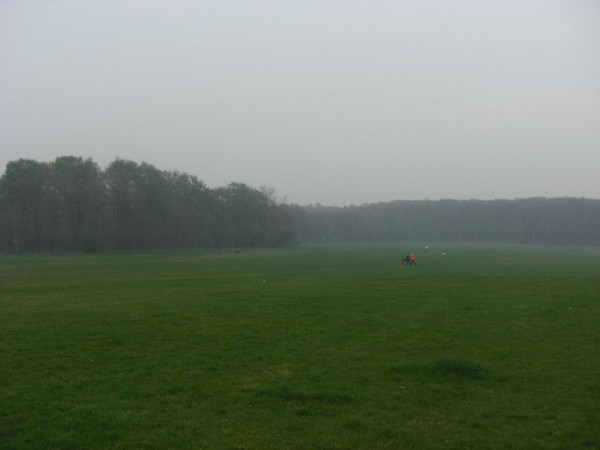 k-CIMG5537.JPG (55.61 KiB) 6070 mal betrachtet k-CIMG5537.JPG