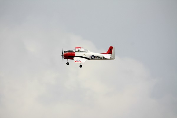 comp_2IMG_3169.jpg
